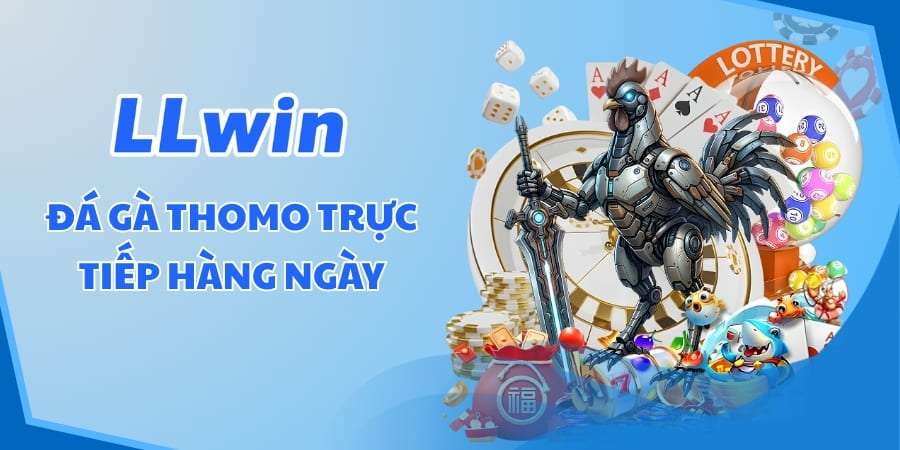 Đá gà thono trực tiếp hàng ngày